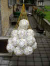 wpe3.jpg (43520 Byte)