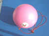 wpe1.jpg (16465 Byte)