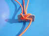 wpe3.jpg (19094 Byte)
